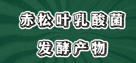 1748586109059.png